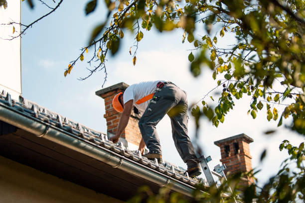 Best Roof Maintenance Services  in Riverdale, UT